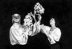 Small Cast Children's Plays - Beauty and the Beast
