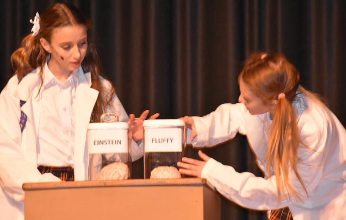 Kid Frankenstein Experiment