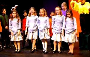 Large Cast Children's Play - Alice in Wonderland