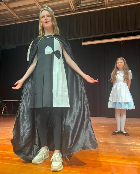 Alice play is popular for schools