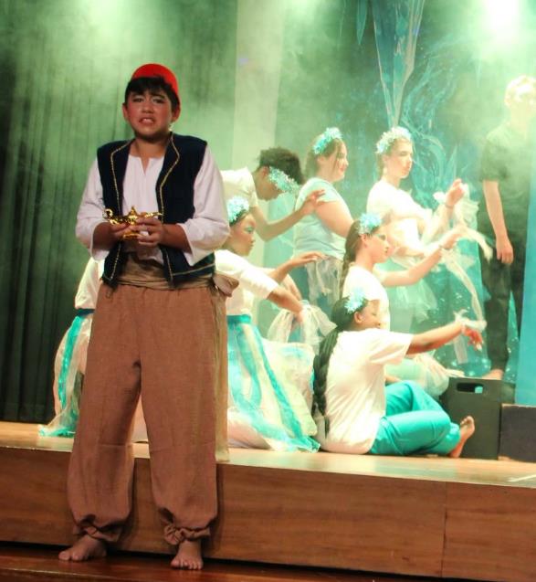 Aladdin School Play Package