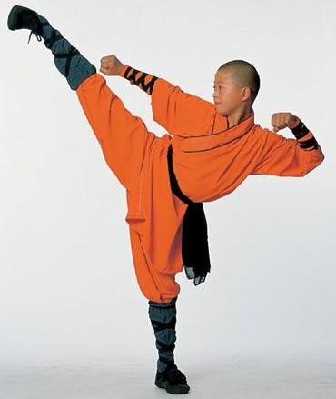 Martial arts are part of Mulan!
