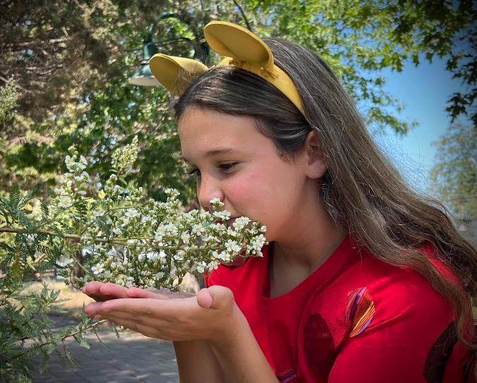 Fun outdoor performance of Winnie-thePooh Play