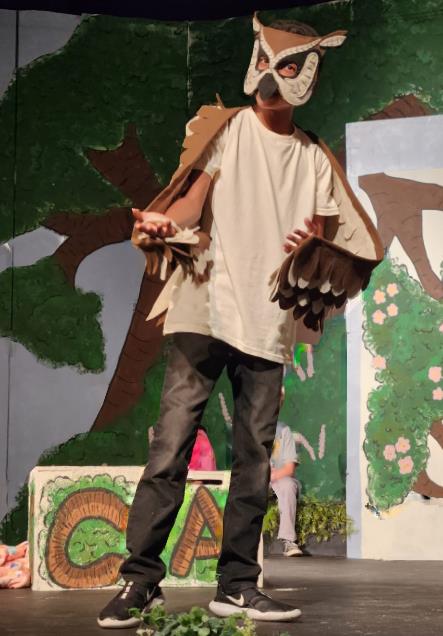 Owl in Winnie the Pooh